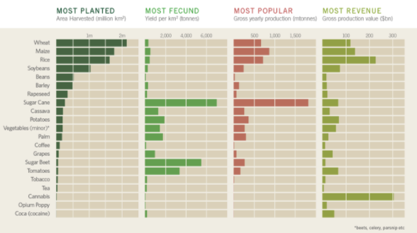 Data visualization tools help to visualize the world's biggest cash crop.